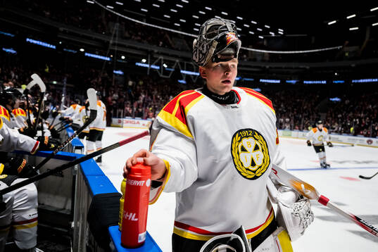 Brynäs målvakt Ludvig Persson