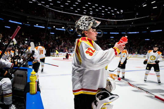 Brynäs målvakt Ludvig Persson