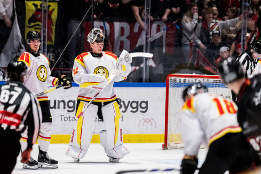 Brynäs målvakt Ludvig Persson