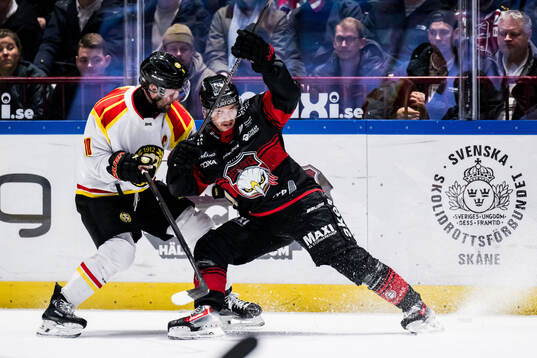 Brynäs Johan Larsson och Malmö Redhawks Nikola Pasic