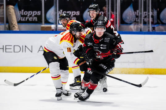 Brynäs Simon Bertilsson och Malmö Redhawks Petter