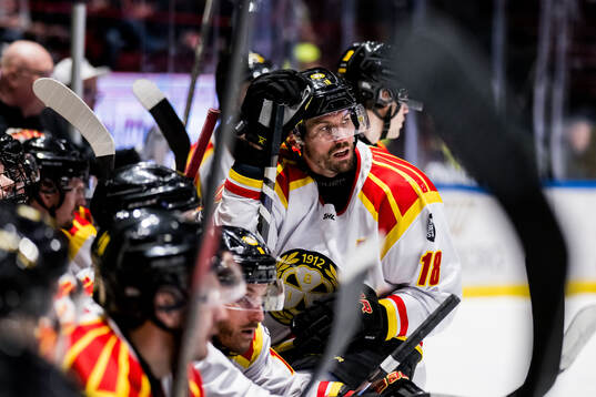 Brynäs Anton Rödin deppar