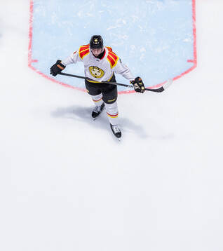 Brynäs Christian Djoos deppar