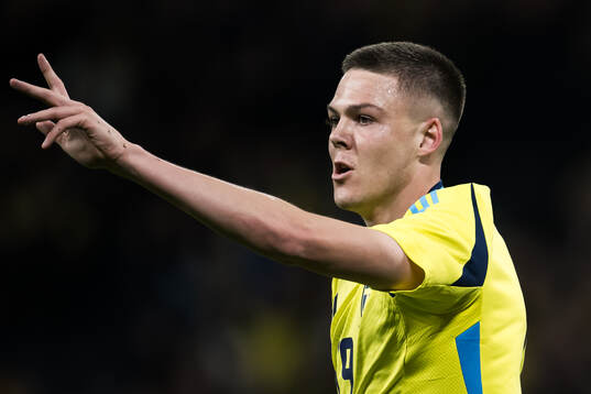 Emil Holm of Sweden celebrates