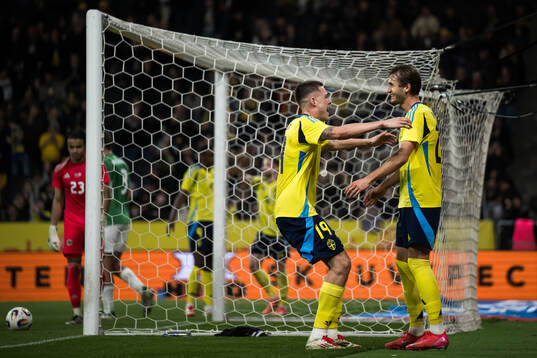 Emil Holm and Benjamin Nygren of Sweden celebrate