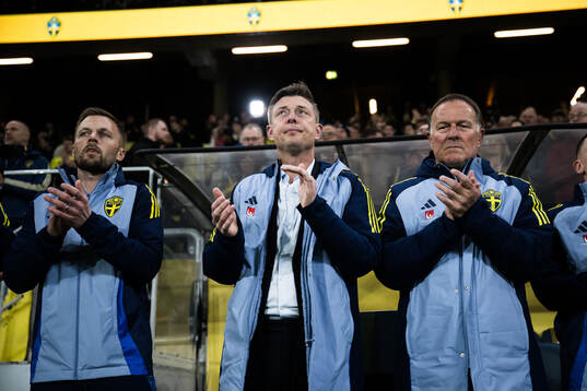 Head coach Jon Dahl Tomasson of Sweden