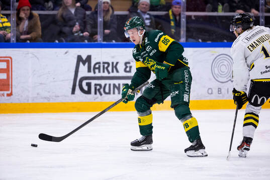 Björklövens Daniel Viksten