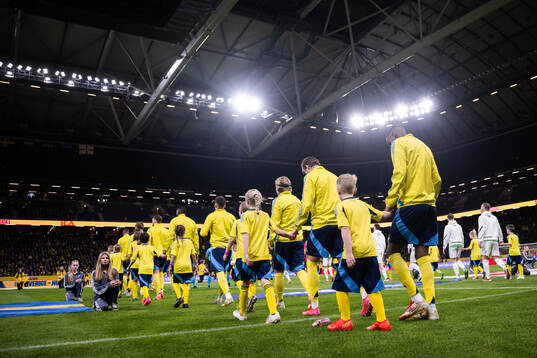 Players of Sweden