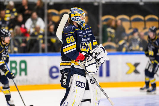 HV71s målvakt Frederik Dichow