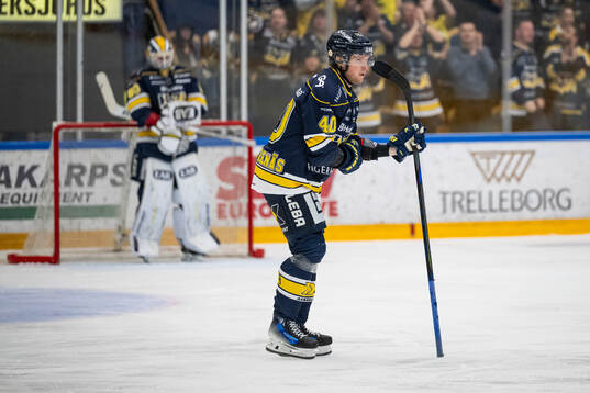 HV71s Oskar Stål-Lyrenäs jublar