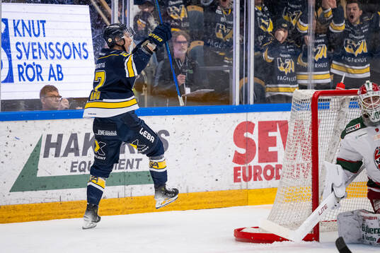 HV71s Jonathan Ang jublar
