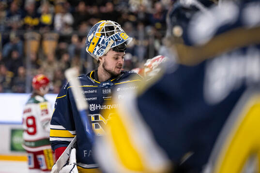HV71s målvakt Frederik Dichow