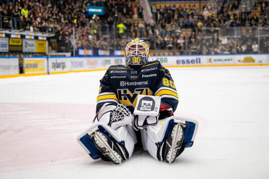 HV71s målvakt Frederik Dichow jublar