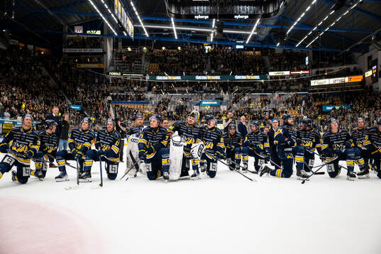 HV71s spelare jublar