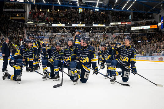 HV71s spelare jublar