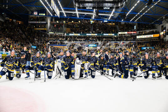 HV71s spelare jublar
