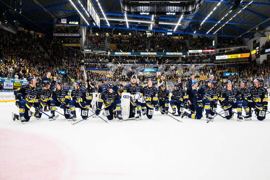 HV71s spelare jublar