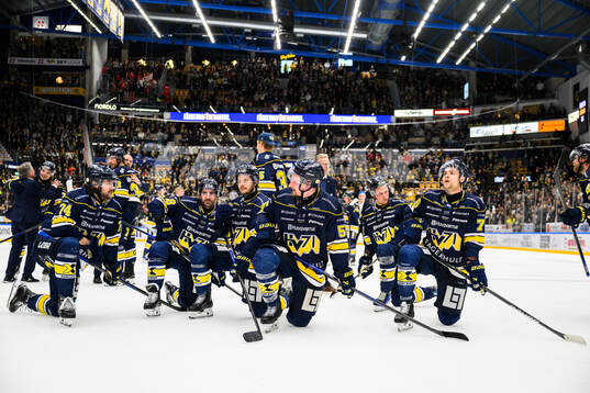 HV71s spelare jublar