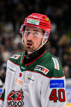 Modos David Bernhardt deppar