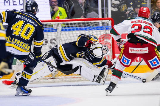 HV71s målvakt Frederik Dichow