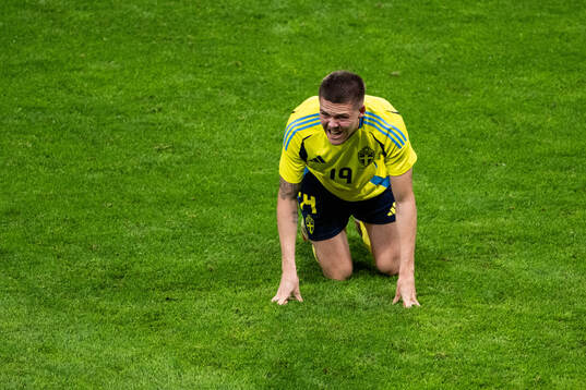 Emil Holm of Sweden in pain