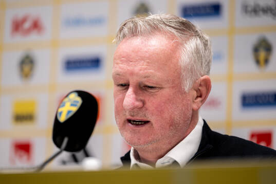 Head coach Michael O'Neill of Northern Ireland