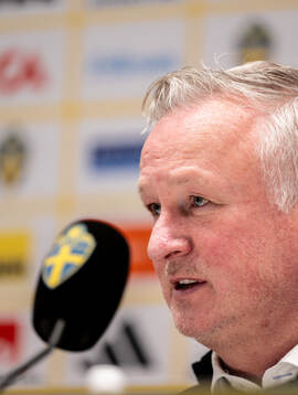Head coach Michael O'Neill of Northern Ireland