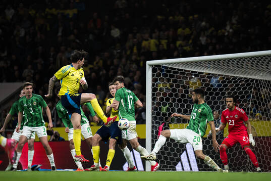Victor Nilsson Lindelöf and Emil Holm of Sweden, Paddy