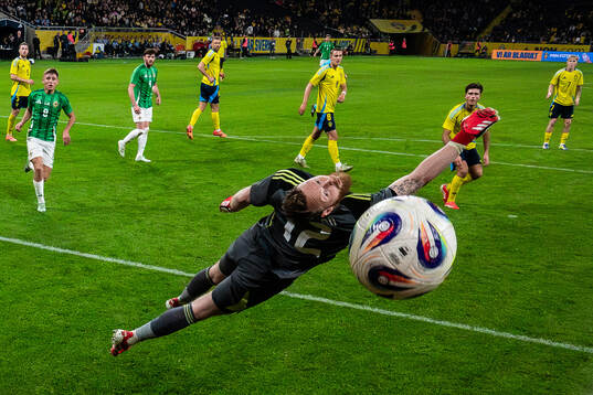 Bläddra bland fler bilder av Football, International Friendly, Sweden - Northern Ireland