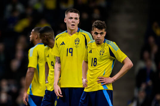 Emil Holm and Yasin Ayari of Sweden
