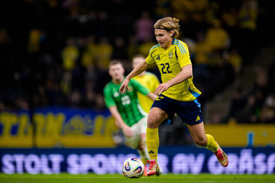 Sebastian Nanasi of Sweden