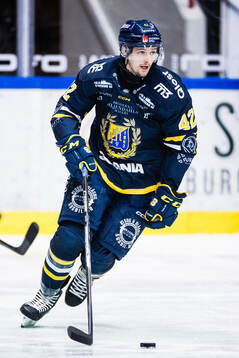 Södertäljes Ludvig Hedström
