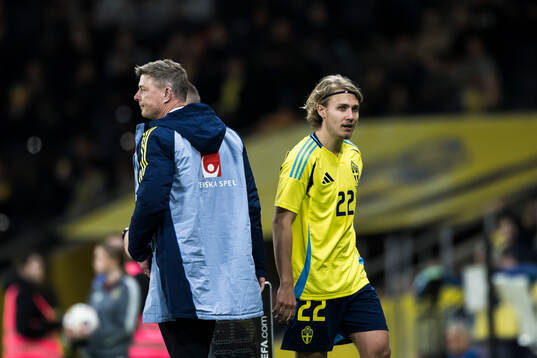 Head coach Jon Dahl Tomasson and Sebastian Nanasi of Sweden