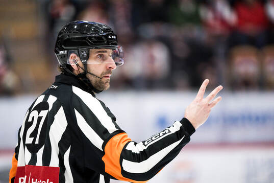 Domare Mikael Sjöqvist
