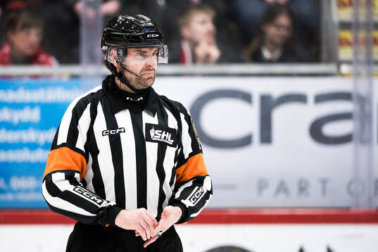 Domare Mikael Sjöqvist