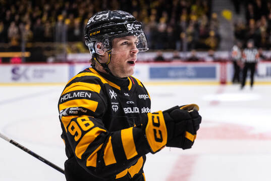 Skellefteås Rickard Hugg jublar