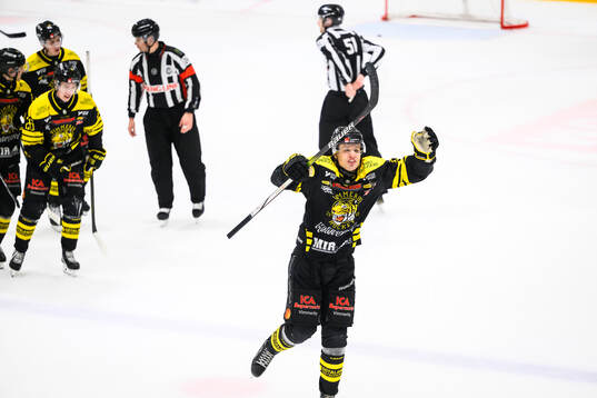 Vimmerbys Hampus Eriksson jublar