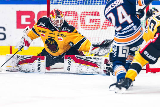Luleås målvakt Matteus Ward
