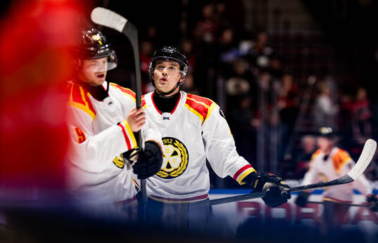 Brynäs Theo Lindstein