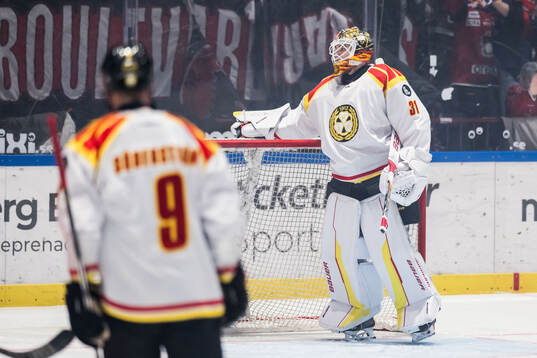 Brynäs målvakt Erik Källgren deppar