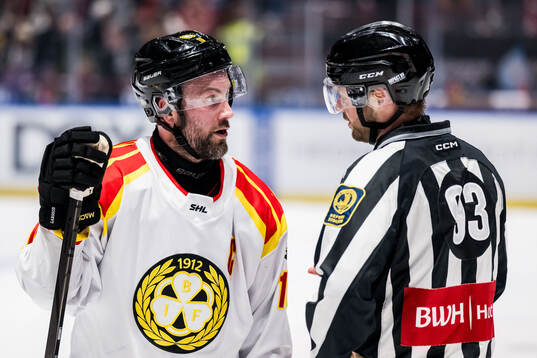 Brynäs Johan Larsson i samtal med domaren