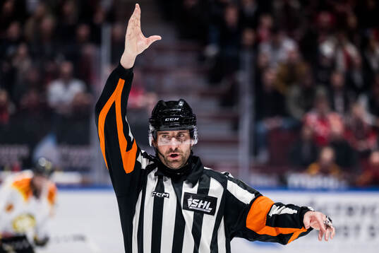 Domare Mikael Sjöqvist