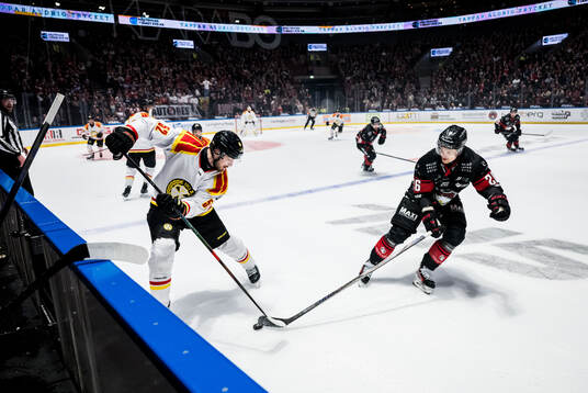Brynäs Jack Kopacka och Malmö Redhawks Teemu Kivihalme