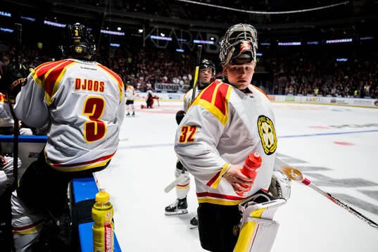 Brynäs målvakt Ludvig Persson