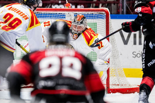Brynäs målvakt Ludvig Persson