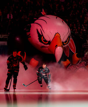 Malmö Redhawks Johan Ivarsson gör entré