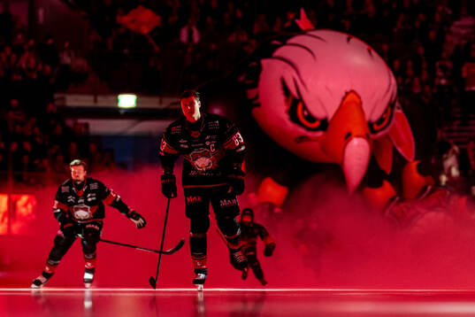 Malmö Redhawks Fredrik Händemark gör entré