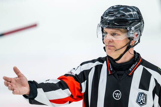 Domare Mikael Nord