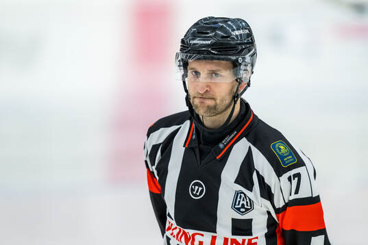 Domare Niklas Johansson