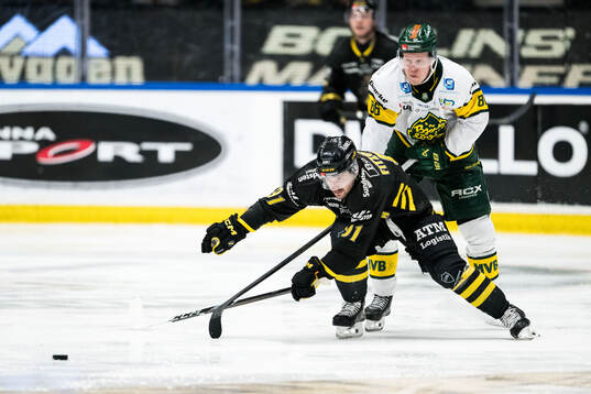 AIKs Gerry Fitzgerald och Björklövens Daniel Viksten